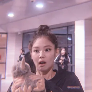 🐰 272639bf женщина, кролик, человек, в помещении, животное, милый, портрет whatsapp sticker