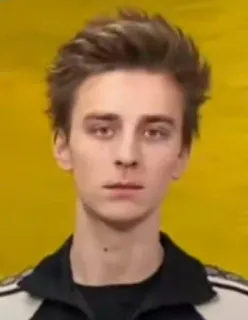 😶 1ac2b463 telegram sticker