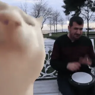 🥳 03c36588 Mann, Schlagzeug, Musik, Park, Person, Instrument telegram sticker