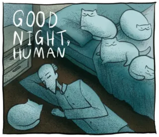 💤 30500ce6 GOOD NIGHT, HUMAN gatos, humano, buenas noches, dormir, cama, lindo, animales telegram sticker