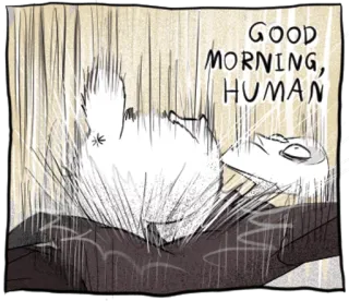 😌 3e71a7af GOOD MORNING, HUMAN buenos días, humano, saludo, dibujo animado, meme telegram sticker