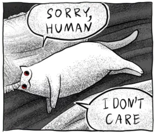 🙃 9ae02bdc SORRY, HUMAN
I DON'T CARE gato, gracioso, perdón, humano, me da igual, meme, animal telegram sticker