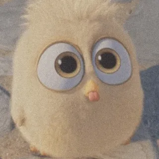 😛 92264e46 vogel, kuiken, schattig, dier, cartoon, vogelbaby, geel telegram sticker