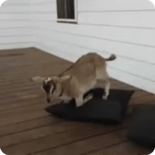 😢 735d24a2 ヤギ, 動物, 農場, 家畜, 枕, ペット telegram sticker