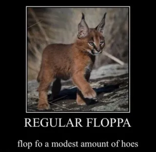 🐱 09d93450 REGULAR FLOPPA
flop fo a modest amount of hoes floppa, mèo, meme, động vật, hài hước telegram sticker