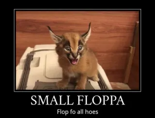 🐱 0bf35239 SMALL FLOPPA
Flop fo all hoes Floppa, Mèo, Động vật, Meme, Floppa nhỏ telegram sticker