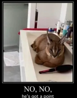 🐱 19d8b8b7 NO, NO, he's got a point mèo, caracal, meme, floppa, động vật, thú cưng telegram sticker