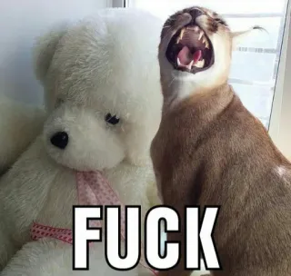 Big Floppa whatsapp stickers