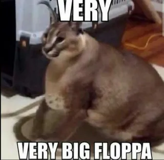 🐱 4be26f9d VERY
VERY BIG FLOPPA Floppa, Big Floppa, Mèo, Meme telegram sticker