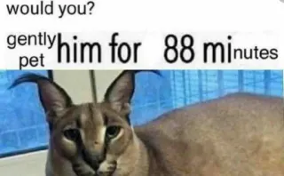 🐱 945f05a7 would you? gently pet him for 88 minutes mèo, Floppa, thú cưng, meme telegram sticker