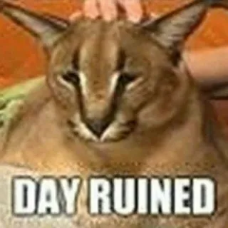🐱 bb2d8b33 DAY RUINED Floppa, mèo, meme, ngày tồi tệ telegram sticker