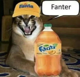 🐱 e57bd9e4 Fanter mèo, Fanta, nước giải khát, meme, động vật, hài hước telegram sticker