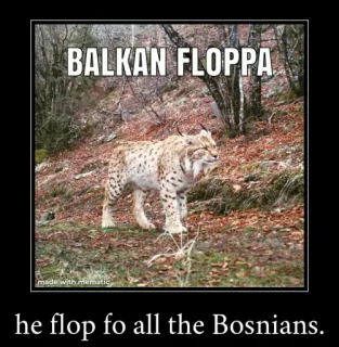 🐱 e98ec4f0 BALKAN FLOPPA
he flop fo all the Bosnians. linh miêu, balkan, floppa, meme, bosnia, động vật telegram sticker