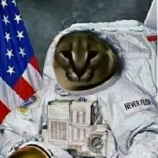 Big Floppa whatsapp stickers