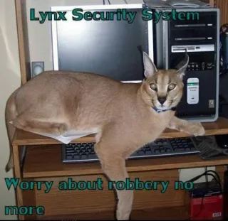 🐱 f6fcaa0c Lynx Security System
Worry about robbery no more mèo, linh miêu, an ninh, cướp, hài hước, động vật telegram sticker
