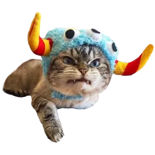 👺 27ba51c4 kot, zły, potwór, śmieszny, zwierzę, słodki, zwierzę domowe telegram sticker