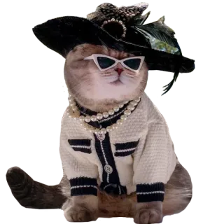 Goddamn cats telegram stickers