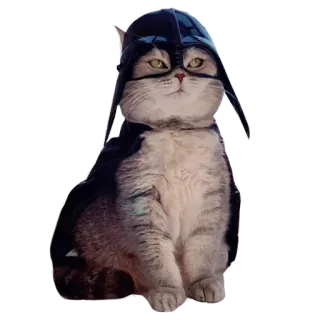 Goddamn cats whatsapp stickers