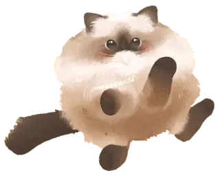 🐾 5944809f cat, cute, animal, pet, fluffy, ragdoll, kitten telegram sticker
