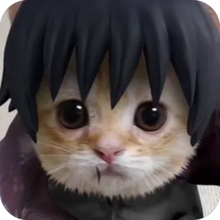 🫥 7bcb58f0 kot, anime, śmieszne, mem, humor, zwierzę whatsapp sticker