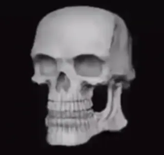 🌟 99416daf czaszka, anatomia, szkielet, śmierć, kości whatsapp sticker