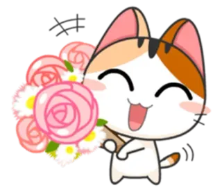 🌹 581f1831 gato, flores, lindo, ramo, animal, dibujos animados telegram sticker