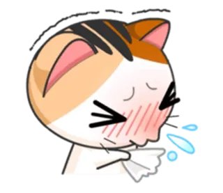😷 aa46fe91 gato, estornudo, enfermo, gripe, resfriado, alergia, pañuelo telegram sticker