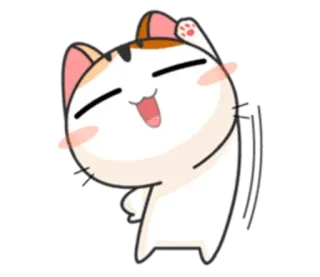 🙋 b2d9e4d8 gato, lindo, saludando, feliz, animal, dibujos animados telegram sticker