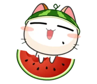 🍉 b91a0f8a chat, pastèque, kawaii, mignon, dessin animé, nourriture, été, autocollant telegram sticker