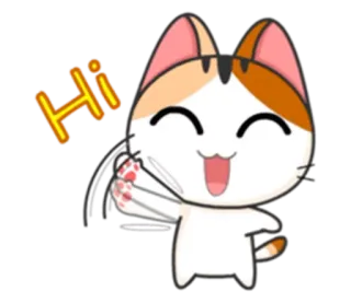 🙋 c9212961 Hi chat, dessin animé, salutation, animal, amical, mignon telegram sticker