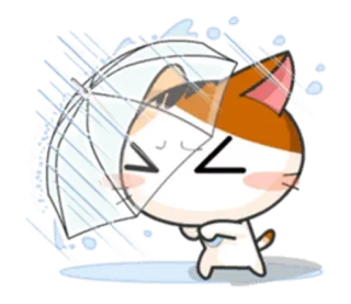 ☔ ec599bf4 chat, parapluie, mignon, pluie, dessin animé, kawaii, chaton telegram sticker