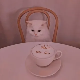 🐾 3e21b128 kat, koffie, latte, schattig, dier, drank, café telegram sticker