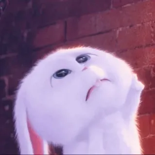 ☁️ d6dfe008 Snowball The Secret Life of Pets กระต่าย, บันนี่, สัตว์เลี้ยง, สัตว์, น่ารัก, การ์ตูน telegram sticker