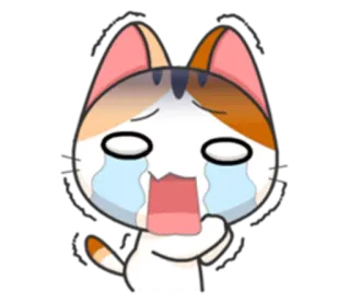 😭 09246562 cat, crying, sad, emoji, sticker, cartoon cat whatsapp sticker