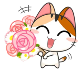 💐 6ed69cbf cat, flowers, roses, cute, happy, animal whatsapp sticker