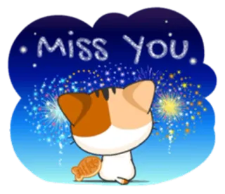 👤 8e2dee1c Miss You cat, miss you, fireworks, cute, cartoon whatsapp sticker