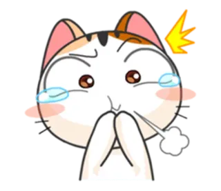 🙊 cdd822d6 cat, cute, kawaii, tears, anime, cartoon, sticker whatsapp sticker