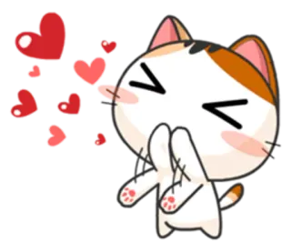 😘 d4f95ac8 cat, love, hearts, cute, animal, kawaii, kiss whatsapp sticker