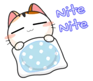 🌙 f3918faf Nite Nite cat, sleeping, good night, bed, cute, cartoon whatsapp sticker