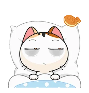 🛌 91b770e6 chat, endormi, mignon, animal, dessin animé, oreiller, nourriture, autocollant telegram sticker