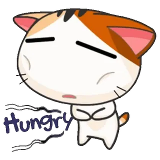 😋 1d047188 Hungry gatto, affamato, adesivo, carino, cartone animato, animale telegram sticker