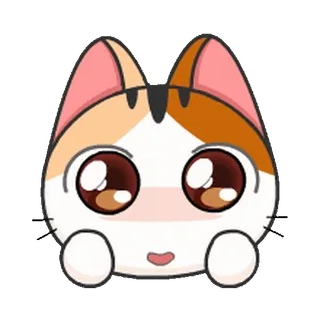 🥺 1f19b05d gatto, gattino, carino, cartone animato, animale, kawaii telegram sticker