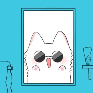 💮 2f2321e4 kucing, kacamata hitam, imut, putih, kartun whatsapp sticker