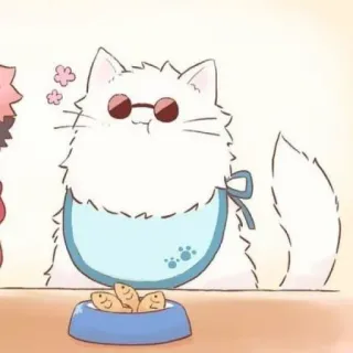 🧊 38fe1787 cat, sunglasses, bib, fish, cartoon, animal whatsapp sticker