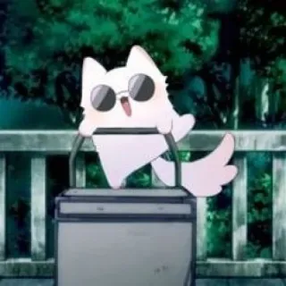 🧊 7e803f3a cat, sunglasses, cartoon, cute, animal whatsapp sticker