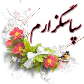 💐 110ee3b8 سنسکردارم floral, bunga, salam, bahasa Urdu, tulisan, dekorasi telegram sticker