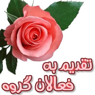 🌹 6211341c تقدیم به فعالان گروه mawar, bunga, salam, persia, arab telegram sticker