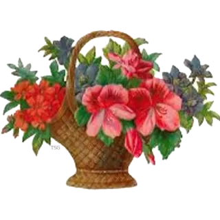 🌺 a8f84d23 花, 篮子, 花艺, 花束, 春天, 自然 telegram sticker