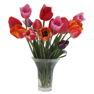 🌻 a174eaea Blumen, Tulpen, Vase, Strauß, floral, Frühling telegram sticker