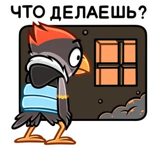 ❓ 775a5d5a ЧТО ДЕЛАЕШЬ? pássaro, janela, russo, pergunta, perguntando telegram sticker